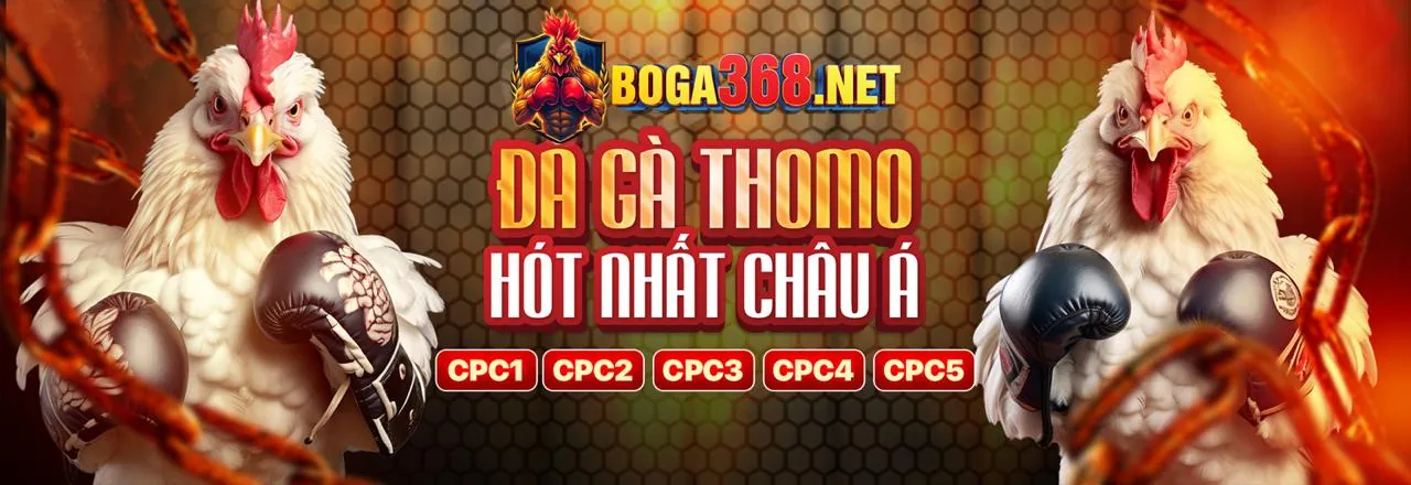 Chính sách Cookie 888slot - Bảo vệ quyền riêng tư người chơi