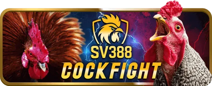 Quy định chung của 888slot về điều khoản và điều kiện