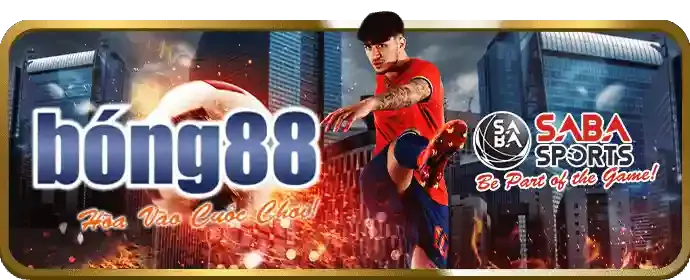 Phản hồi nhanh chóng