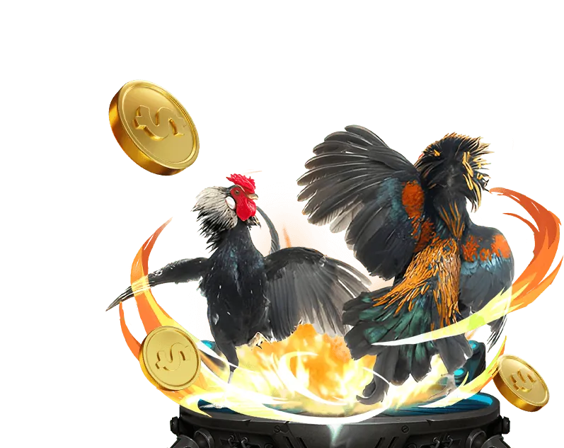 Hướng dẫn chơi đá gà trực tuyến SV388 Bet