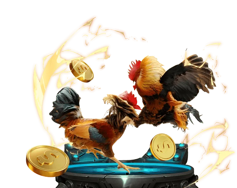 Đá gà trực tiếp sv388 bet